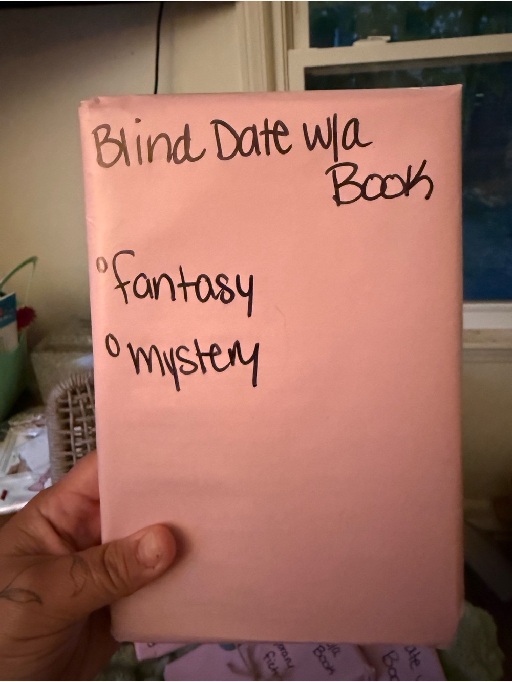 Blind Date Wrapped Book - Fantasy Mystery